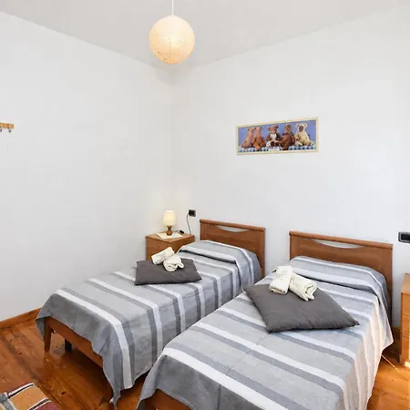 Viola Tatil Evi Colico