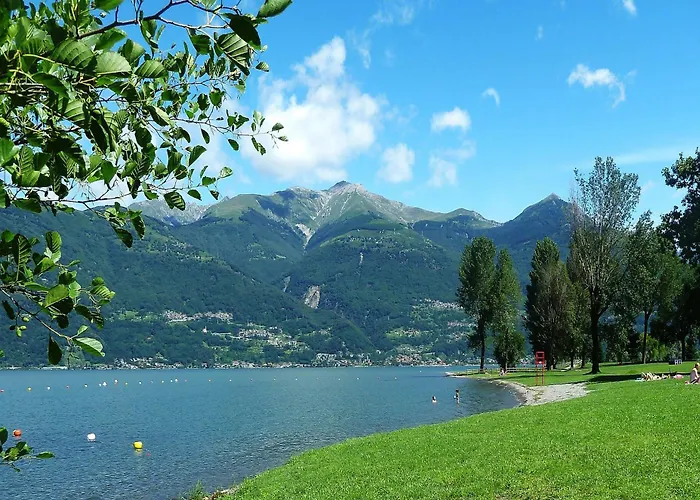 Viola Tatil Evi Colico