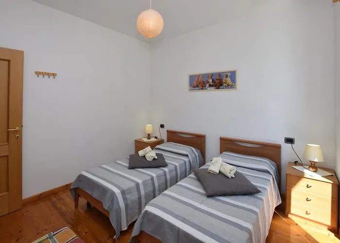 Viola * Колико